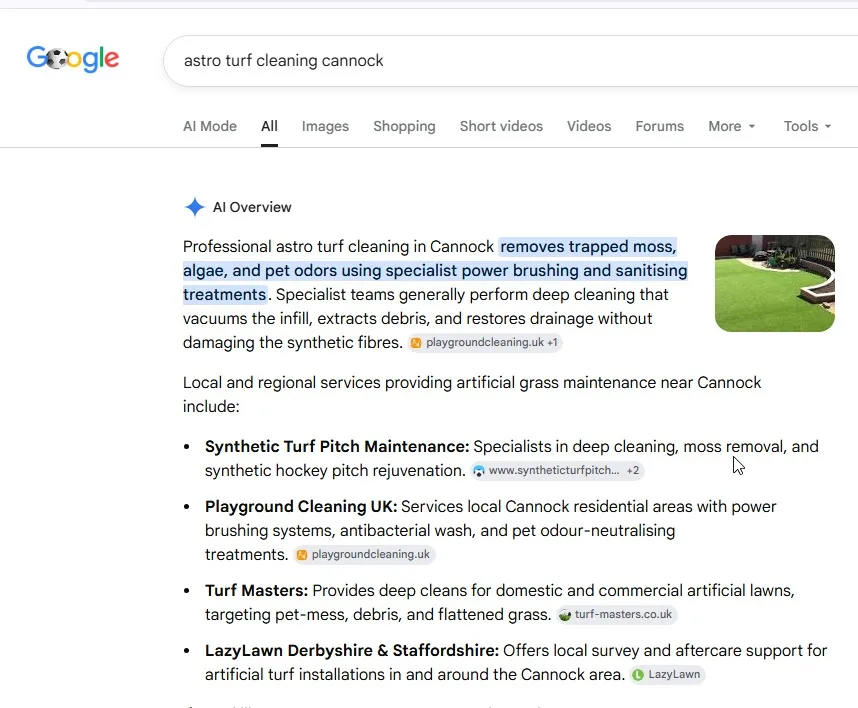 Search results screenshot from the Turf Masters SEO project