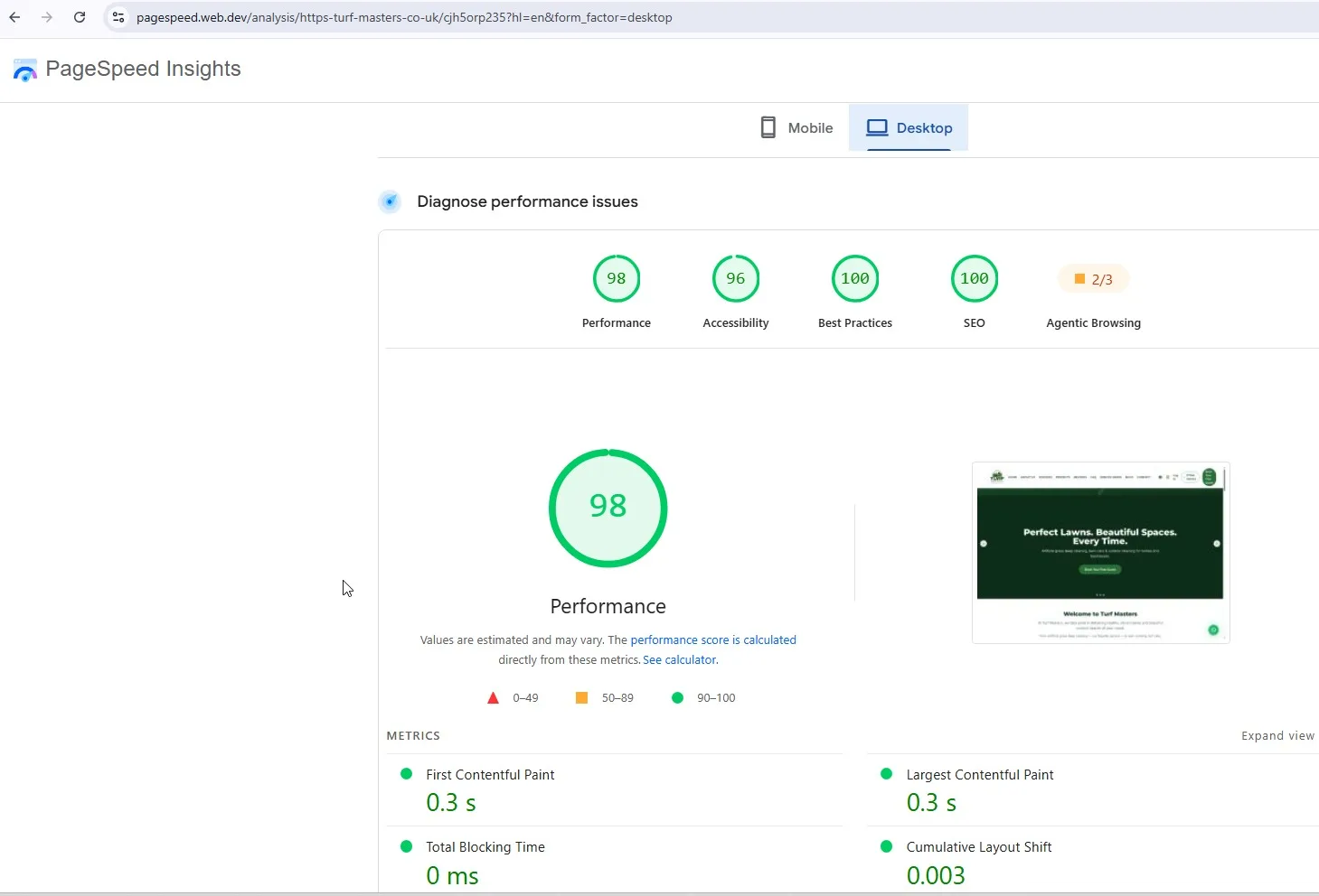 Search results screenshot 3 from the Turf Masters SEO project