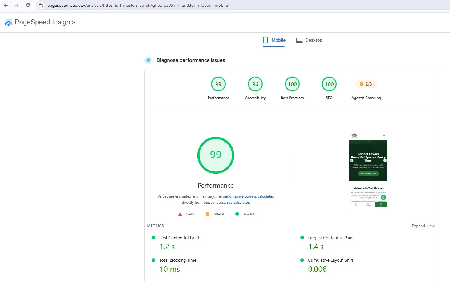 Search results screenshot 4 from the Turf Masters SEO project