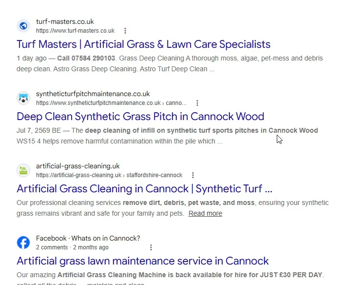 Search results screenshot 5 from the Turf Masters SEO project