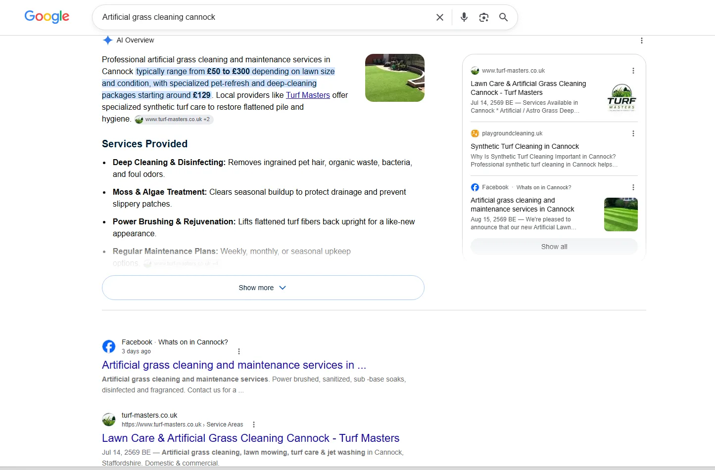 Search results screenshot 6 from the Turf Masters SEO project